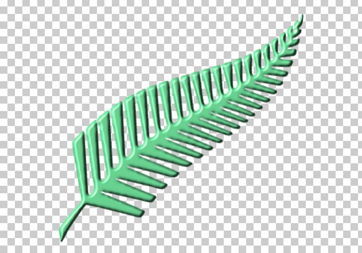 New Zealand National Rugby Union Team New Zealand National Netball Team Silver Fern Flag PNG, Clipart, Angle, Fern, Line, Miscellaneous, New Zealand Free PNG Download