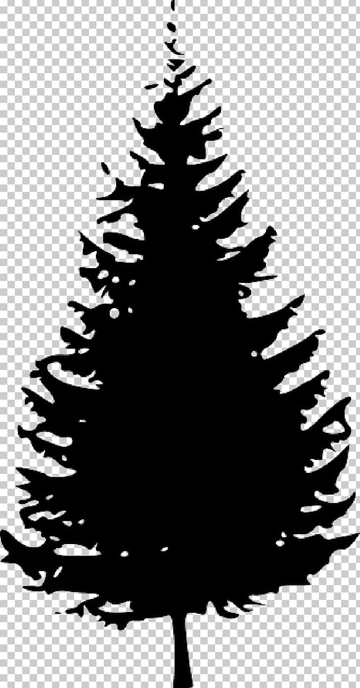 Pine Tree Fir Graphics PNG, Clipart, Black And White, Branch, Cedar, Christmas Decoration, Christmas Ornament Free PNG Download