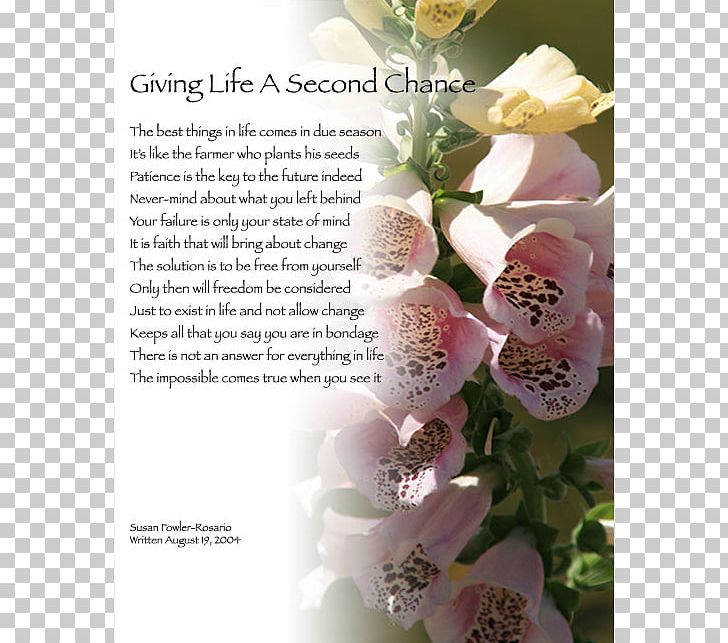 Poetry Floral Design Cut Flowers Life PNG, Clipart,  Free PNG Download
