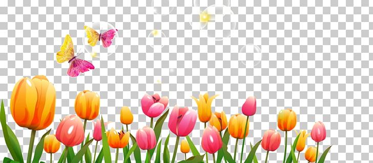 Tulip Flower Icon PNG, Clipart, Cdr, Computer Wallpaper, Cut Flowers, Encapsulated Postscript, Floristry Free PNG Download