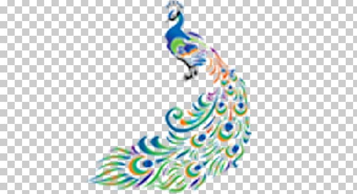 Bird Drawing Peafowl PNG, Clipart, Animals, Area, Art, Asiatic Peafowl, Bird Free PNG Download