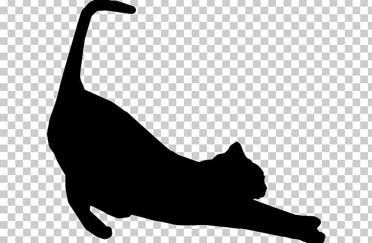 Cat Silhouette Kitten PNG, Clipart, Animals, Black, Black And White, Black Cat, Carnivoran Free PNG Download