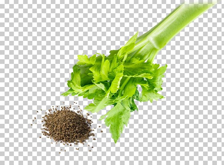 Herb Leaf Vegetable PNG, Clipart, Celery, Clip Art, Clove, Commodity, Coriander Free PNG Download