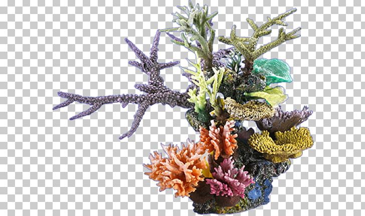 Sea Graphics Ocean PNG, Clipart, Aquarium Decor, Coral, Coral Reef, Deep Sea, Drawing Free PNG Download
