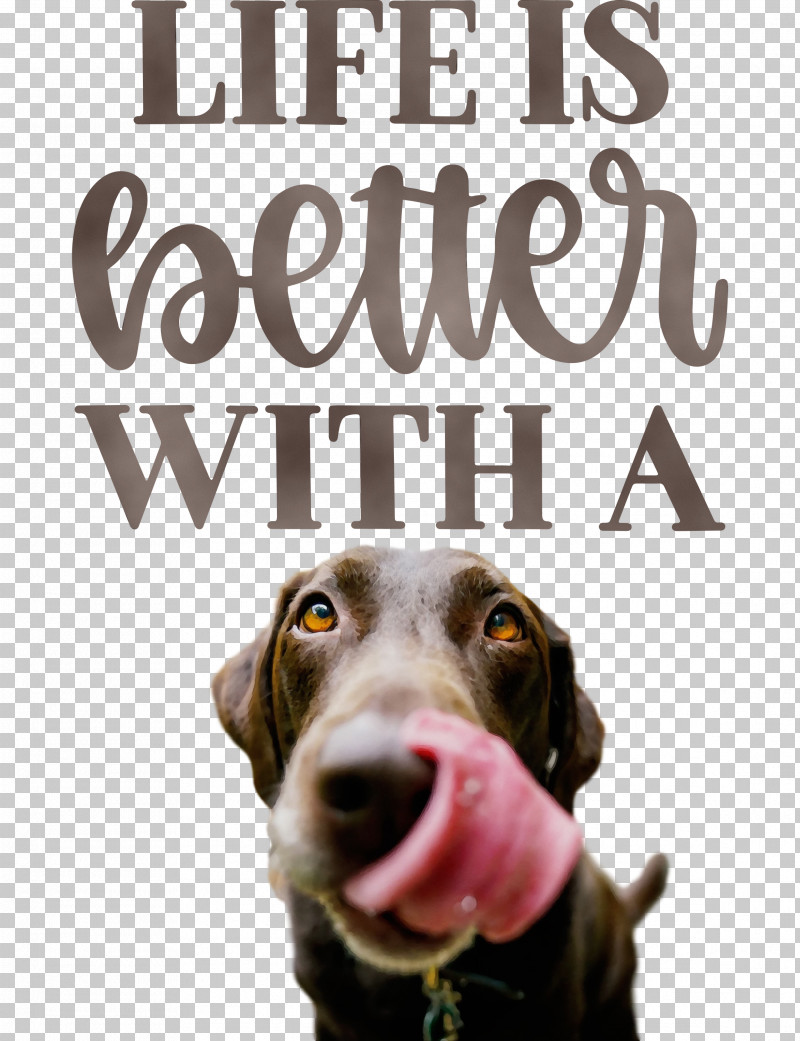 Dog Snout Font Breed Meter PNG, Clipart, Better, Biology, Breed, Dog, Life Free PNG Download