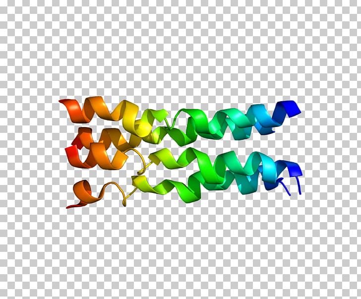 FXYD Family FXYD1 Protein Gene FXYD3 PNG, Clipart, Animal Figure, Antibody, Body Jewelry, Chloride Channel, Gene Free PNG Download