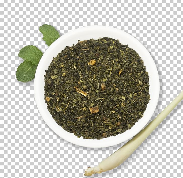 Sencha Nilgiri Tea Bancha Oolong Hōjicha PNG, Clipart,  Free PNG Download