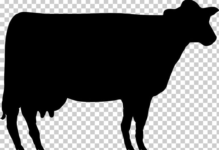 Shorthorn Angus Cattle Beef Cattle Hereford Cattle Jersey Cattle PNG, Clipart, Beef Cattle, Black And White, Bull, Cattle, Cattle Like Mammal Free PNG Download