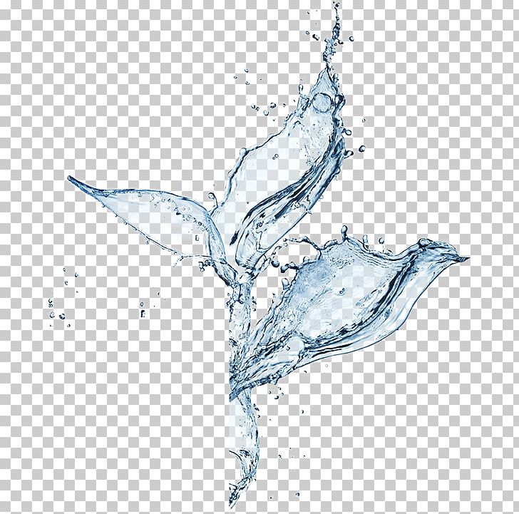 Water Splash PNG, Clipart, 3d Computer Graphics, Android, Artwork, Bird, Branch Free PNG Download