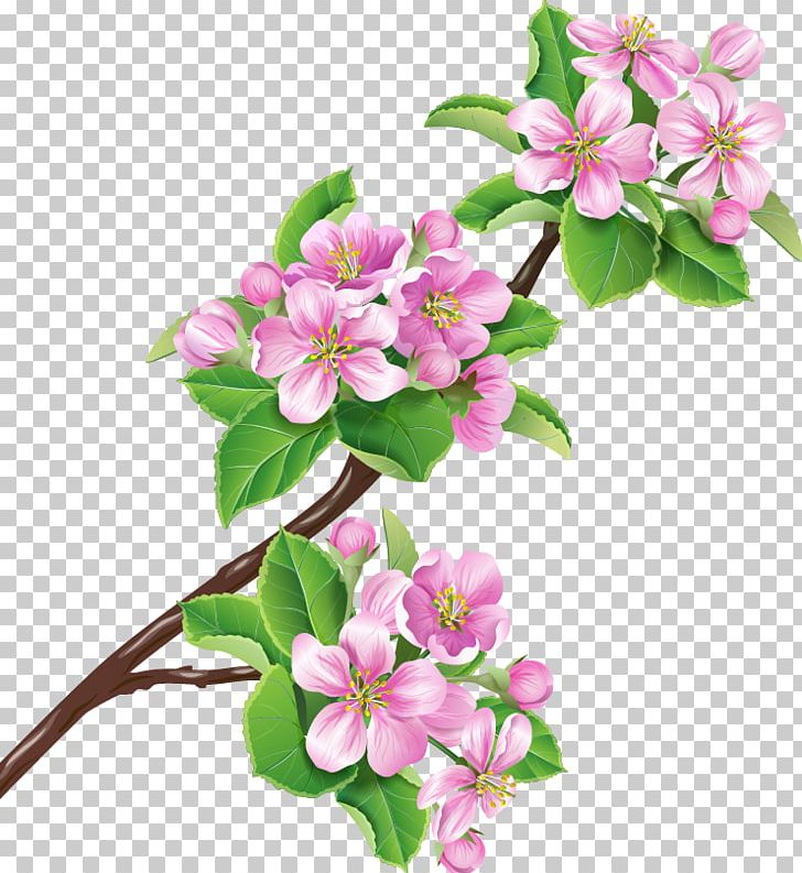 Flower Branch Blossom Stock Illustration PNG, Clipart, Blossom, Blossoms, Branches, Cherry, Cherry Blossom Free PNG Download