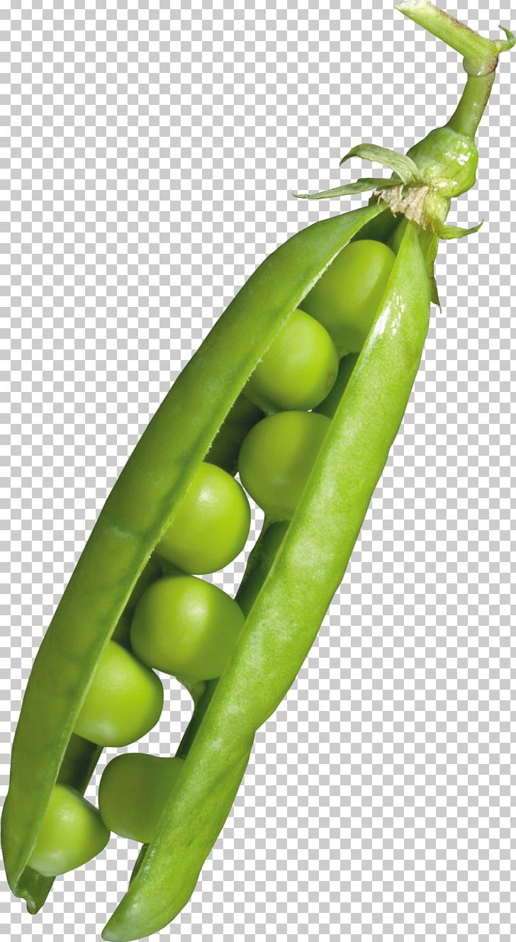 Snap Pea Serrano Pepper Common Bean Vegetarian Cuisine PNG, Clipart,  Free PNG Download