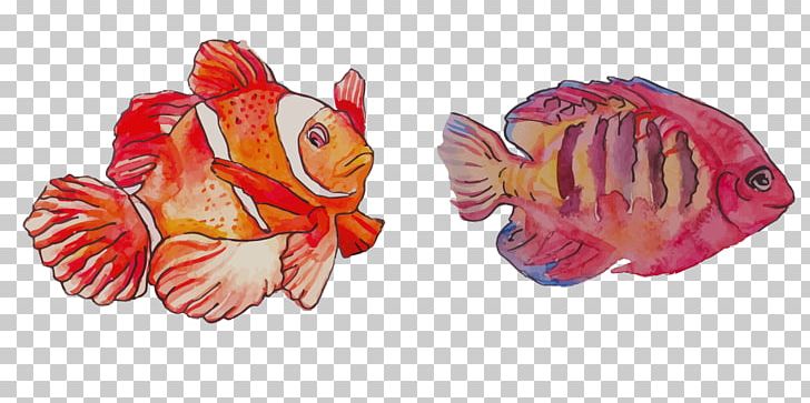 Watercolor Painting Clownfish PNG, Clipart, Animals, Art, Cartoon, Clownfish, Colours Free PNG Download