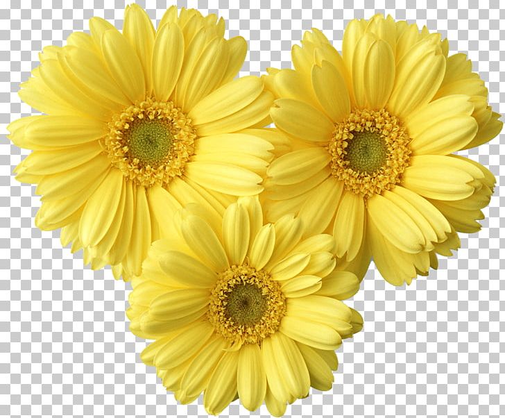 Border Flowers Yellow PNG, Clipart, Border Flowers, Brightness, Chrysanthemum, Chrysanths, Color Free PNG Download