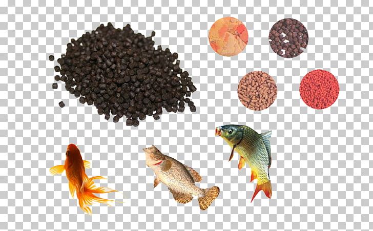 Commercial Fish Feed Aquarium Fish Feed Feed Manufacturing Pelletizing PNG, Clipart, Animal Feed, Aquaculture, Aquarium Fish Feed, Commercial Fish Feed, Extrusion Free PNG Download