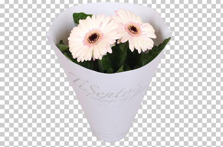 Cut Flowers Transvaal Daisy Floristry Flowerpot PNG, Clipart, Color, Cut Flowers, Floristry, Flower, Flower Bouquet Free PNG Download