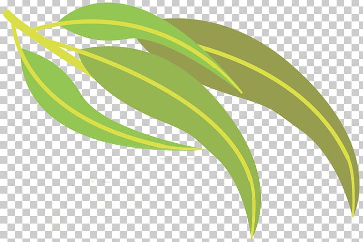 Leaf Food Plant Stem PNG, Clipart, Desktop Wallpaper, First Data, Flora, Flower, Food Free PNG Download