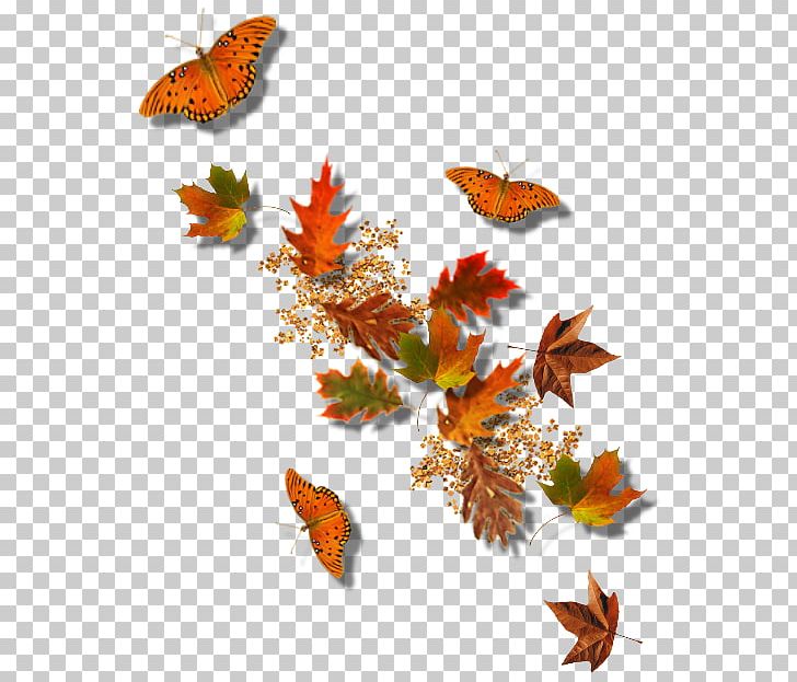 Monarch Butterfly Leaf PNG, Clipart, Brush Footed Butterfly, Butterfly, Computer Graphics, Computer Icons, Frice Free PNG Download