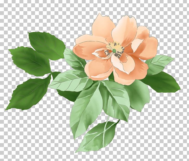 Moutan Peony PNG, Clipart, Clothing Textile Printing, Color, Floral, Flower, Flower Arranging Free PNG Download
