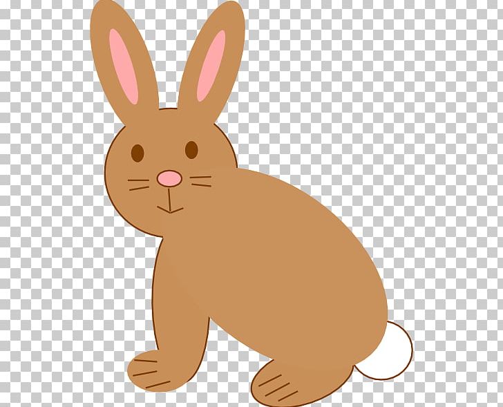 Easter Bunny Mini Lop Rabbit PNG, Clipart, Animal, Animals, Brown, Brown Bunny, Carnivoran Free PNG Download