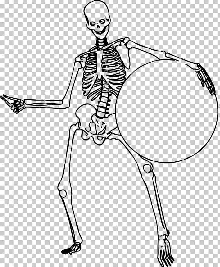 Human Skeleton Bone Human Body Vertebral Column PNG, Clipart, Arm, Art, Artwork, Color, Fashion Illustration Free PNG Download