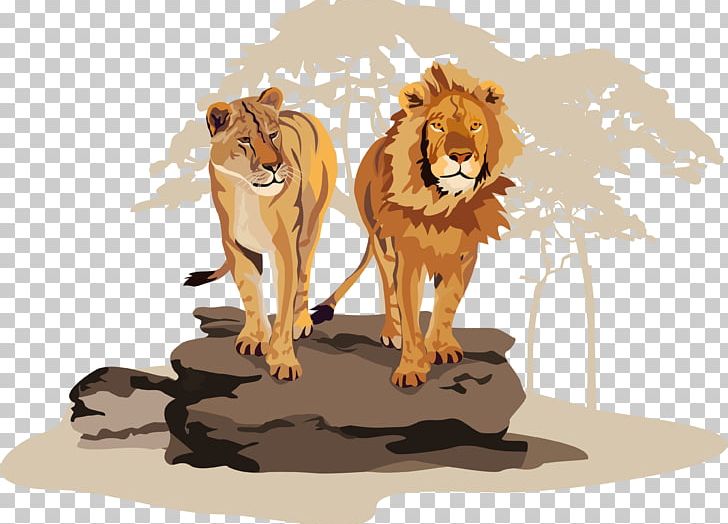 Lion Tiger Photography PNG, Clipart, Animal, Animals, Big Cats, Carnivoran, Cat Like Mammal Free PNG Download