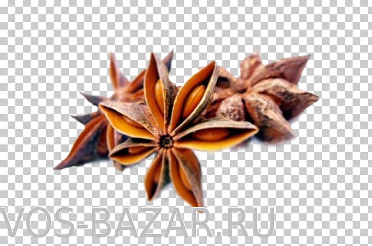 Organic Food Indian Cuisine Anise Spice PNG, Clipart, Anise, Cardamom, Chili Pepper, Chili Powder, Dried Fruit Free PNG Download