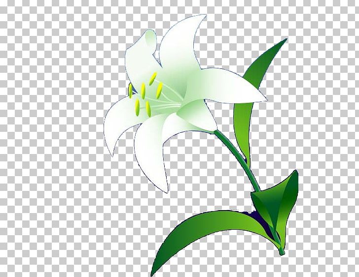 Lilium Flower Euclidean PNG, Clipart, Branch, Calla Lily, Cut Flowers, Designer, Download Free PNG Download