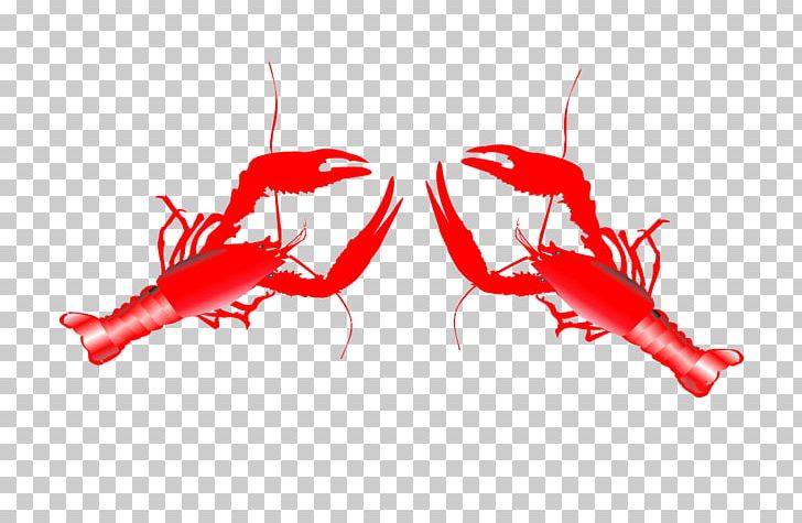 Lobster Seafood Palinurus Elephas PNG, Clipart, Animal, Animals, Animation, Balloon Cartoon, Boy Cartoon Free PNG Download