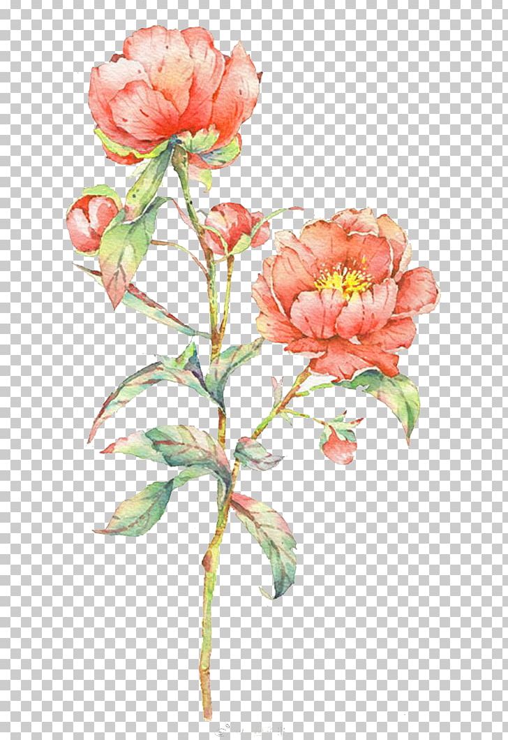 Watercolour Flowers Watercolor: Flowers Watercolor Painting PNG, Clipart, Artificial Flower, Cartoon, Centifolia Roses, Croquis, Flower Free PNG Download