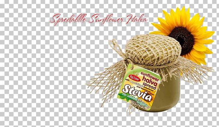 Halva Waffle Candy Leaves Common Sunflower Stevia PNG, Clipart, Bg Line, Chocolate, Cocoa Solids, Common Sunflower, Flower Free PNG Download