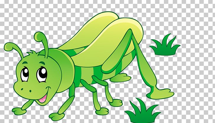 Insect PNG, Clipart, Amphibian, Area, Art, Cartoon, Cdr Free PNG Download
