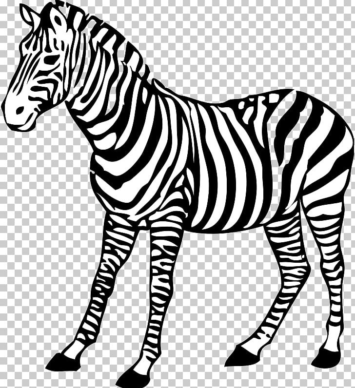 Zebra Black And White PNG, Clipart, Animal Figure, Bears Animal Cliparts, Big Cats, Black And White, Blog Free PNG Download