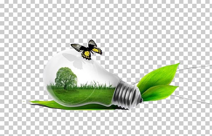 Incandescent Light Bulb LED Lamp Electric Light PNG, Clipart, Bird, Cleaning, Computer Wallpaper, Grass, Green Apple Free PNG Download