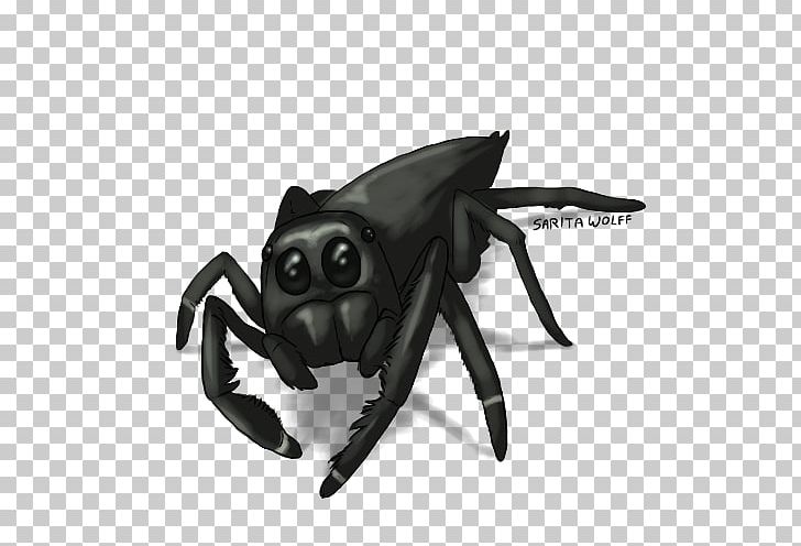 Insect PNG, Clipart, Arthropod, Insect, Invertebrate, Itsy Bitsy Spider, Itty Bitty Free PNG Download