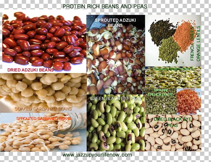 Vegetarian Cuisine Vegetable Organic Food Adzuki Bean PNG, Clipart, Adzuki Bean, Asian Cuisine, Bean, Commodity, Excellent Free PNG Download