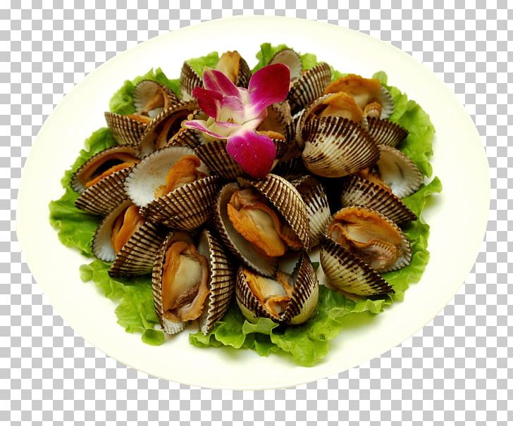 Cockle Clam Seafood Oyster Mussel PNG, Clipart, Animal Source Foods, Black Hair, Blood Clam, Clams, Cuisine Free PNG Download