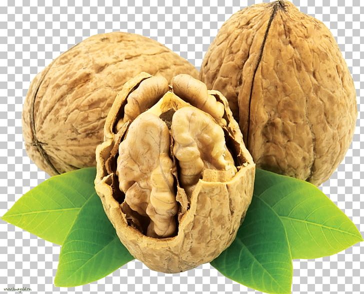 English Walnut Eastern Black Walnut Nuts PNG, Clipart, Brazil Nut, Cashew, Dried Fruit, Eating, English Walnut Free PNG Download