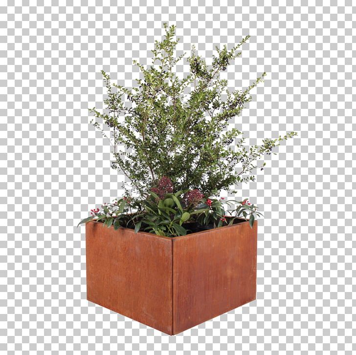Centimeter Flowerpot Country Millimeter Land Højbede PNG, Clipart, Centimeter, Country, Evergreen, Flowerpot, Herb Free PNG Download