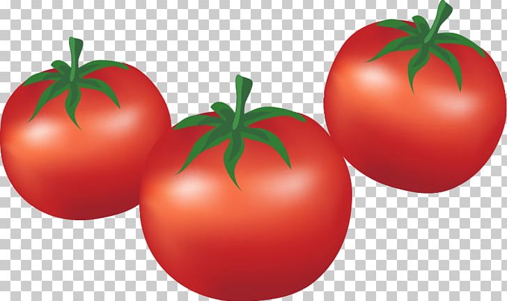 Plum Tomato Bush Tomato Cartoon Vegetable PNG, Clipart, Apple, Balloon Cartoon, Boy Cartoon, Cartoon Character, Cartoon Cloud Free PNG Download
