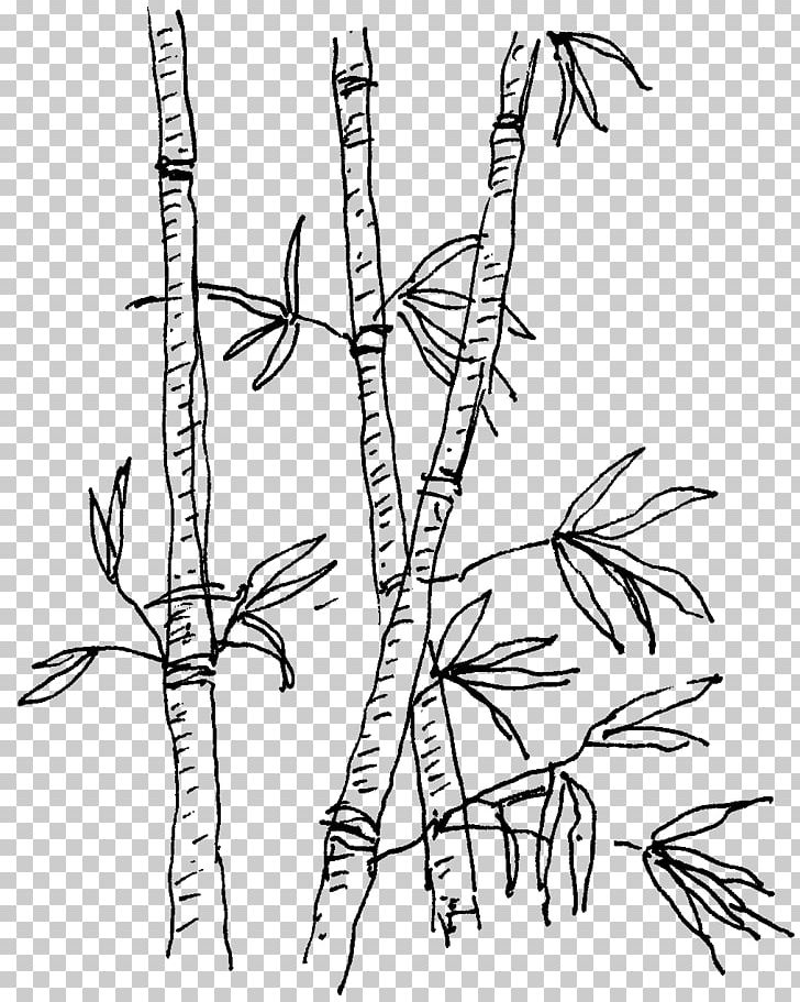 Alterna Medica Praha S.r.o. Health Flora Suffering Traditional Chinese Medicine PNG, Clipart, Black And White, Branch, Flora, Flower, Flowering Plant Free PNG Download