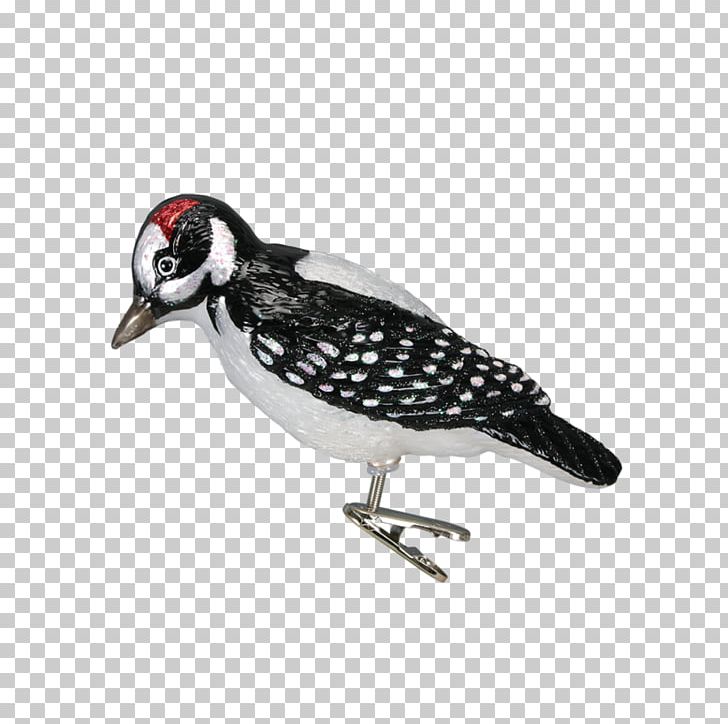Hairy Woodpecker Bird Christmas Ornament PNG, Clipart, Animals, Beak, Bird, Blue Jay, Christmas Free PNG Download