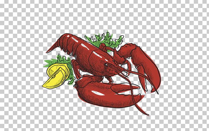 Seafood American Lobster Fish As Food PNG, Clipart, Animals, Animal Source Foods, Claw, Cooking, Crab Free PNG Download