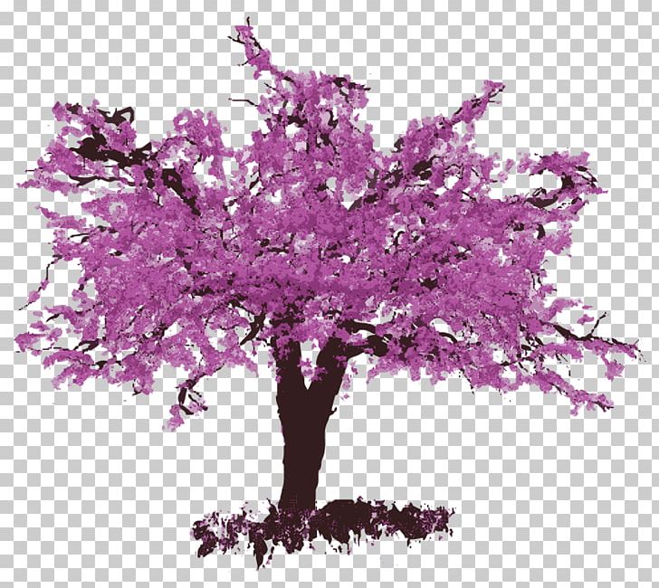 Eastern Redbud Flower Delivery Tree Common Grape Vine PNG, Clipart, Blossom, Branch, Bubblegum, Bud, Cherry Blossom Free PNG Download