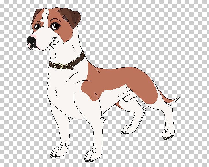 English Foxhound Harrier American Foxhound Canidae Dog Breed PNG, Clipart, American Foxhound, Animal, Breed, Canidae, Carnivora Free PNG Download