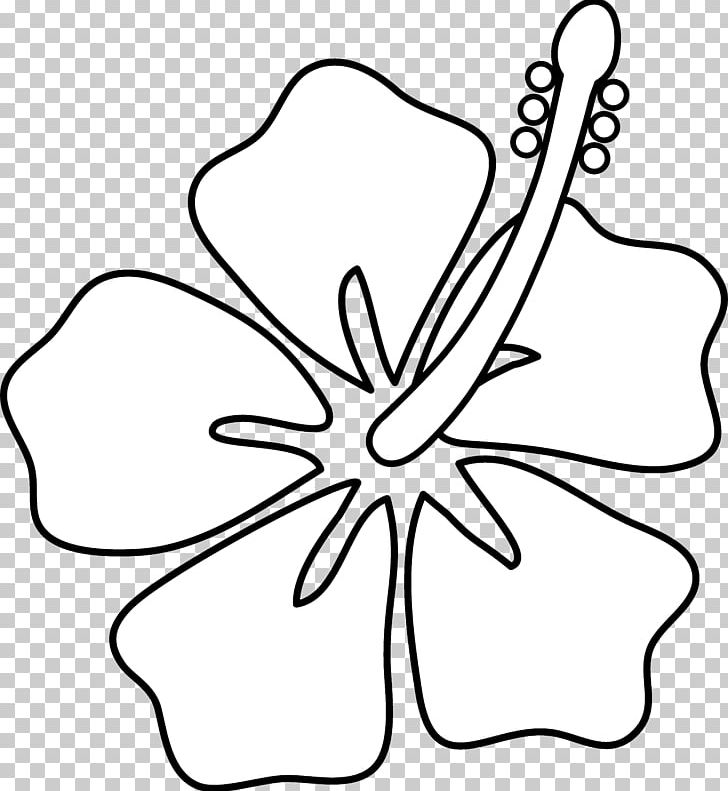 Hawaii Drawing Hibiscus Flower PNG, Clipart, Art, Art Museum, Black, Black And White, Cartoon Hibiscus Free PNG Download