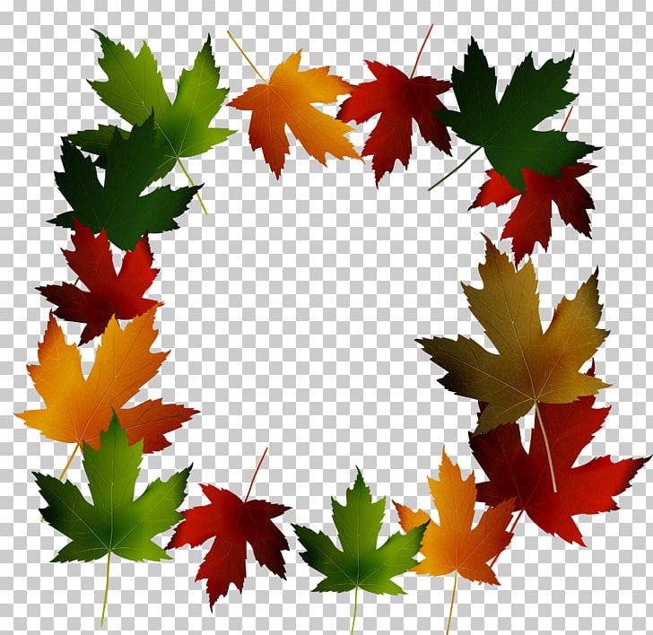 Maple Leaf Green PNG, Clipart, Border, Border Frame, Border Frames, Border Texture, Canadian Free PNG Download