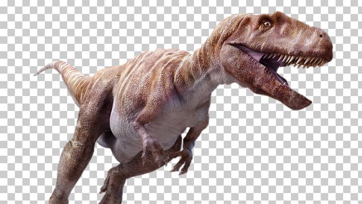 Megalosaurus Tyrannosaurus Torvosaurus Dinosaur Carcharodontosaurus PNG, Clipart, Animal, Carcharodontosaurus, Carnivore, Dinosaur, Dinosaur Discovery Museum Free PNG Download