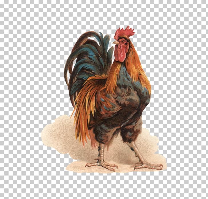 Rooster Chicken Paper Bokmärke Painting PNG, Clipart, Animals, Art, Beak, Bird, Chicken Free PNG Download