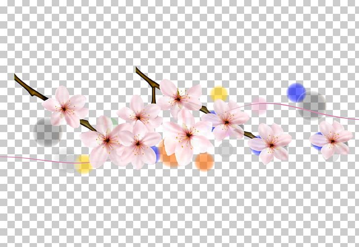 Cherry Blossom Petal Flower PNG, Clipart, Branch, Cherry, Cherry Blossoms, Cherry Petals, Cherry Vector Free PNG Download
