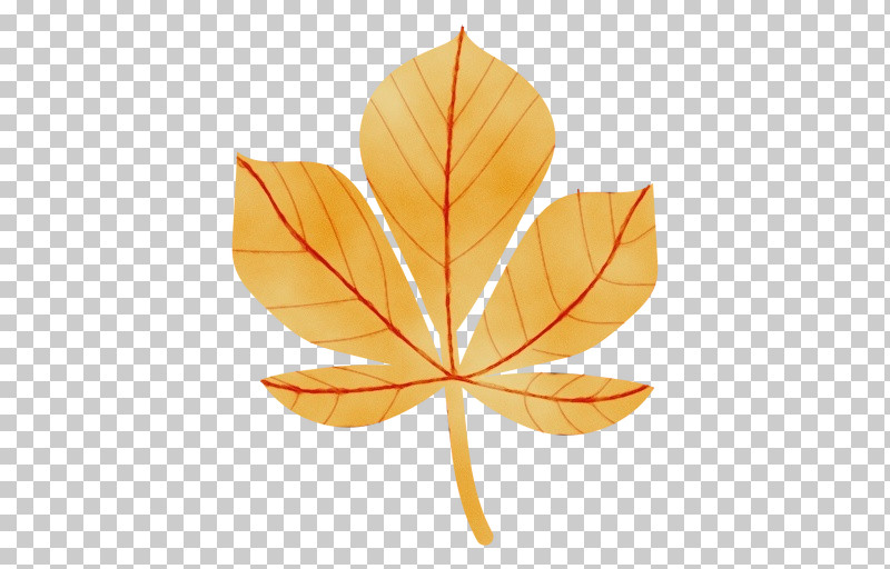 Leaf Maple Leaf / M Symmetry Biology Mathematics PNG, Clipart, Biology, Geometry, Leaf, Maple Leaf M, Mathematics Free PNG Download